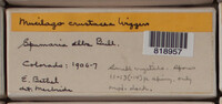 Image Associated With the Occurence